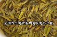 蒙顶黄芽黄茶，新茶季的全新体验