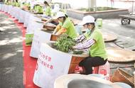 钟山风景区迎来南京市雨花茶手工炒制大赛的精彩对决