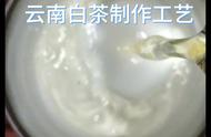 白茶的制作要点，你掌握了吗？