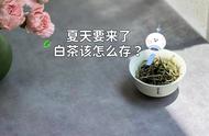 夏季白茶储存方法：4个细节，南北通用