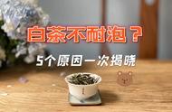 白茶泡不久的五大原因，你误触了哪个“坑”？