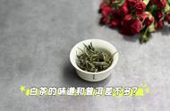 白茶与普洱的辨析：新白茶是否更接近生普，老白茶是否更接近熟普？