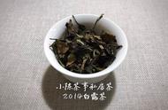 白茶新手必备手册：散茶与饼茶的辨别要点！