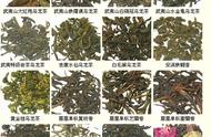 中国名茶自制指南：轻松掌握泡茶艺术