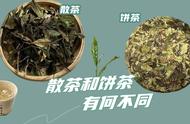 寿眉白茶新手入门：散茶与饼茶的选购技巧大揭秘