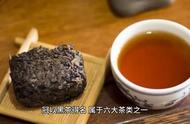 六大茶类之黑茶：品味千年古树的韵味