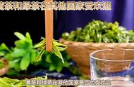 黄茶和绿茶：中国茶叶的全球地位