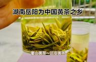 黄茶的种类，你明白多少？