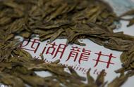 龙井茶传奇：名茶知识的历史与传承