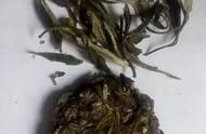 茶叶陈化的魅力：散茶与饼茶竟然有这么大的差别！