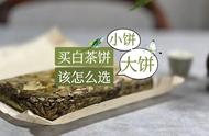 白茶饼购买建议：大饼与小饼的选择策略