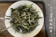 春茶秋茶各有千秋，夏日里的夏茶又去了哪里？