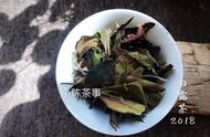 新手白茶爱好者：散茶与饼茶的品尝心得分享