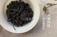 武夷岩茶与普洱茶：山头化现象背后的共同规律