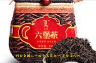 六堡茶：梧州绿宝茶，黑茶的荣耀