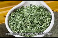 中国十大名茶之洞庭碧螺春：品味传统与现代的完美结合