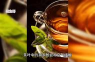 绿茶的真相：你真的知道吗？