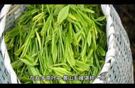 黄山毛峰茶叶：茶知识的专业指南