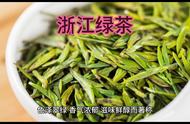 浙江绿茶品种探讨