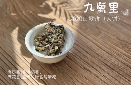 珍藏白茶，轻松上手：三大要点助你成为存茶达人