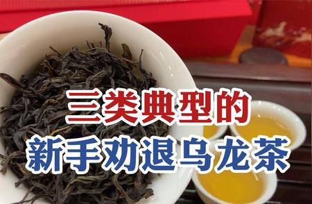 新茶友指南：选购乌龙茶必须了解的三大痛点！