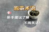 新手泡茶攻略：5个常识性术语助你轻松应对