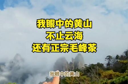 走进现实中的仙境，品味黄山毛峰茶的独特魅力