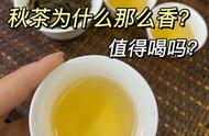 秋茶的魅力：单丛秋茶的香气与品鉴心得