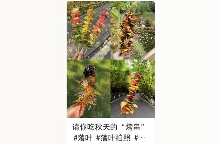 探索白云秋天：不花钱的新玩法大盘点