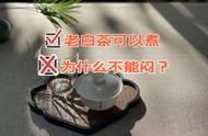 五分钟精通老白茶：煮茶与闷泡的专业对比分析