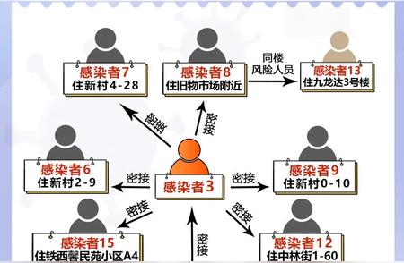 大庆市疫情传播链详解：一图掌握关键信息