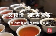 武夷岩茶品种全解读：一篇文章让你成为茶叶达人