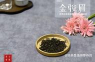 金骏眉茶的升级品质与风味体验