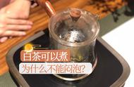 中秋茶韵：白茶煮法解析——煮与闷的区别及体验