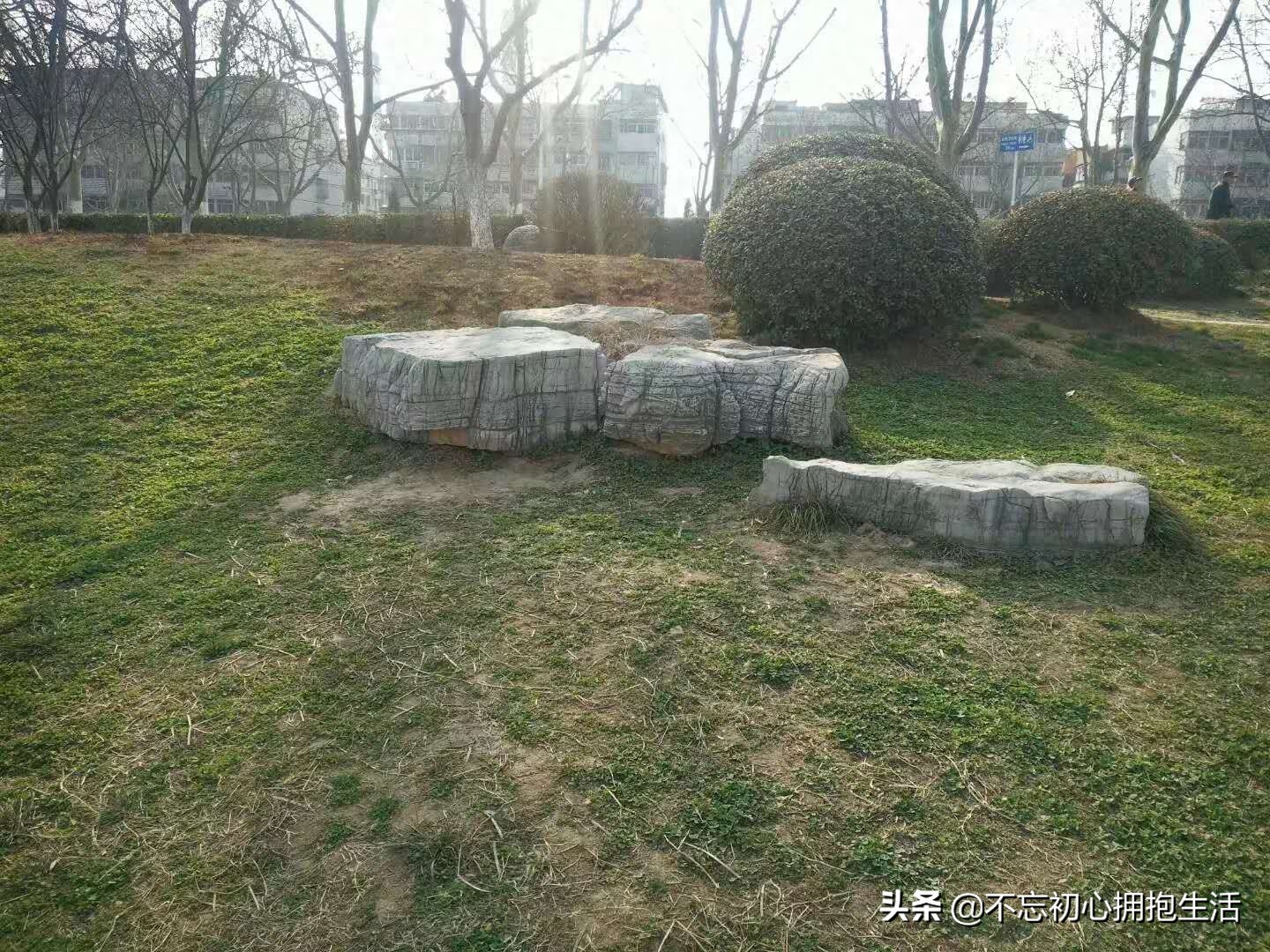 王敏骅说景石：草坪景观龟纹石图片，私藏了很久没有公开的图片