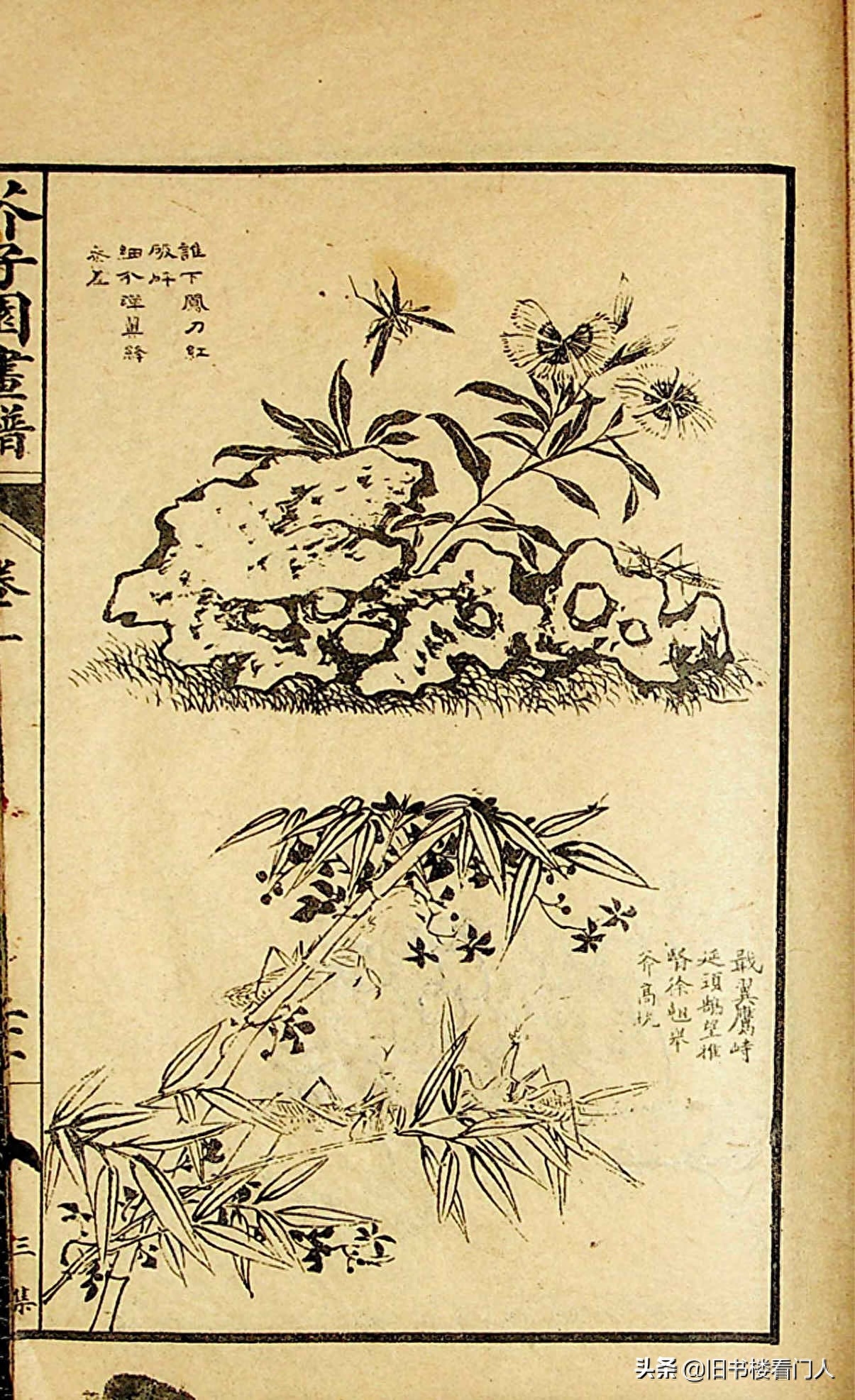 艺术类学画必修之书－《芥子园画谱·草虫花卉谱》